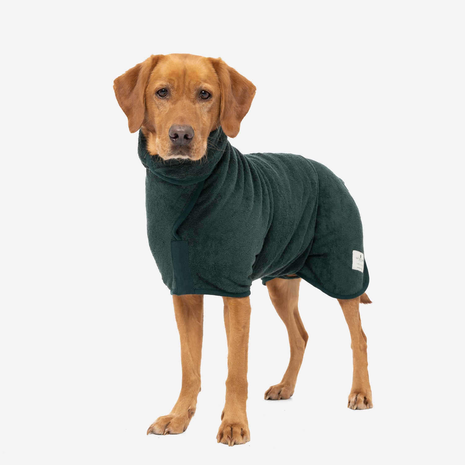 Classic Dog Drying Coat - Forest