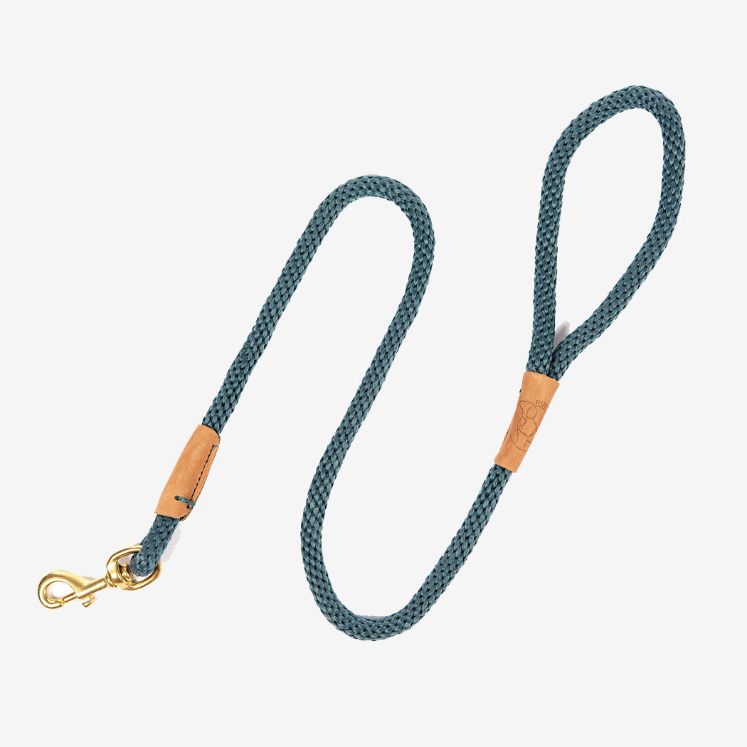 Dog Leads - Sandringham Blue