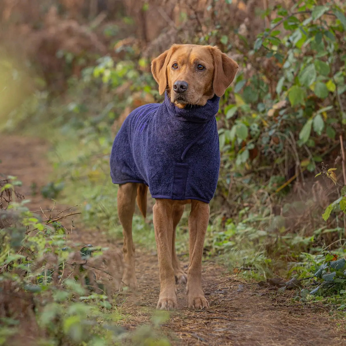 Classic Dog Drying Coat - Blackberry - Ruff and Tumble