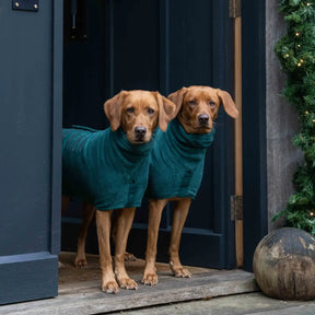 Classic Dog Drying Coat - Bottle Green - Ruff and Tumble
