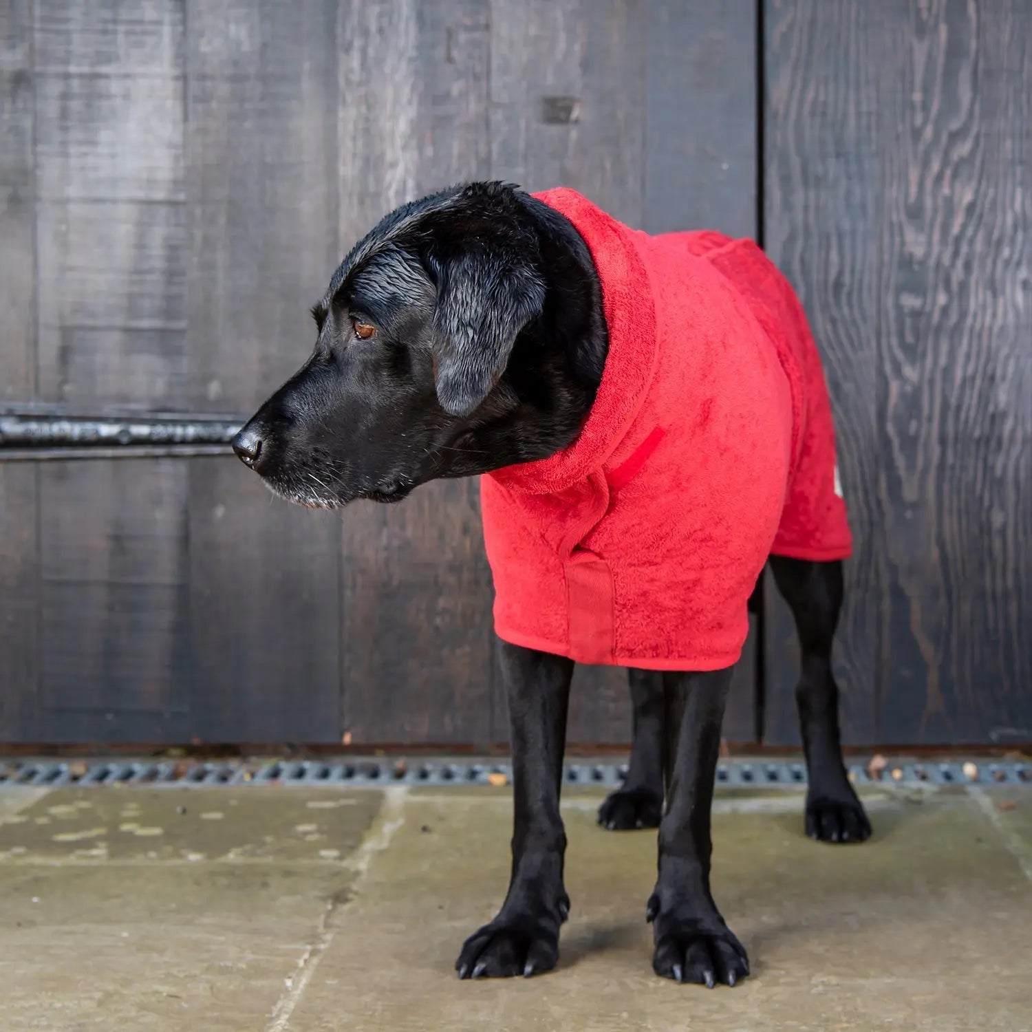 Classic Dog Drying Coat - Brick Red - Ruff and Tumble
