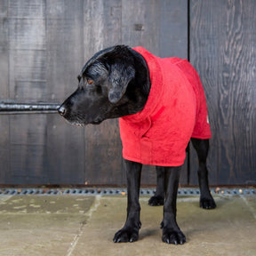 Classic Dog Drying Coat - Brick Red - Ruff and Tumble