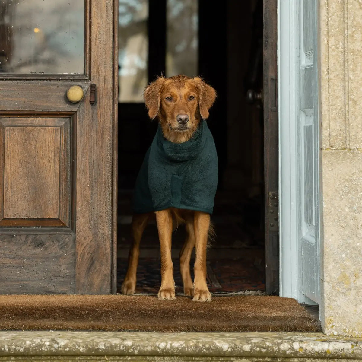 Classic Dog Drying Coat - Forest - Ruff and Tumble