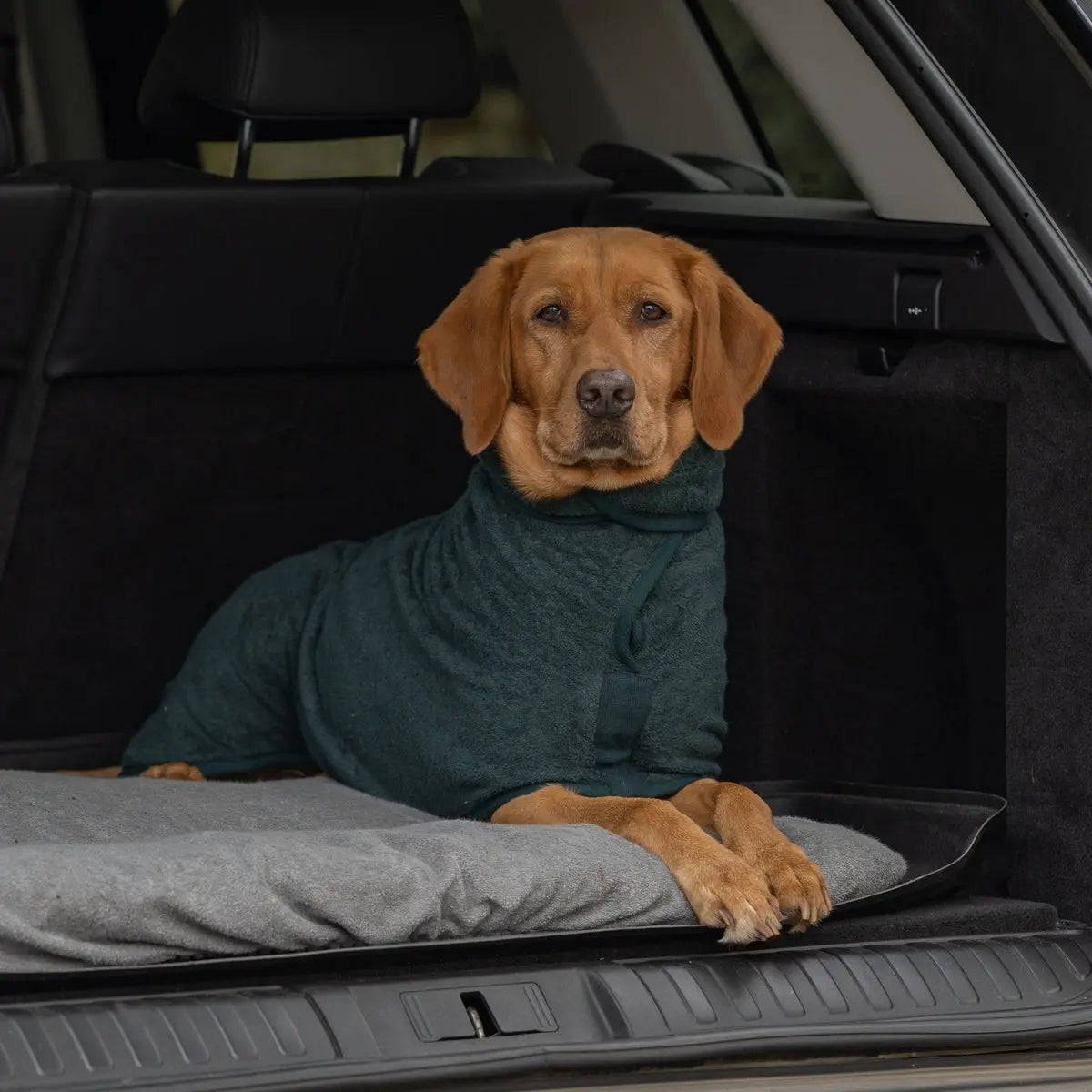 Classic Dog Drying Coat - Forest - Ruff and Tumble