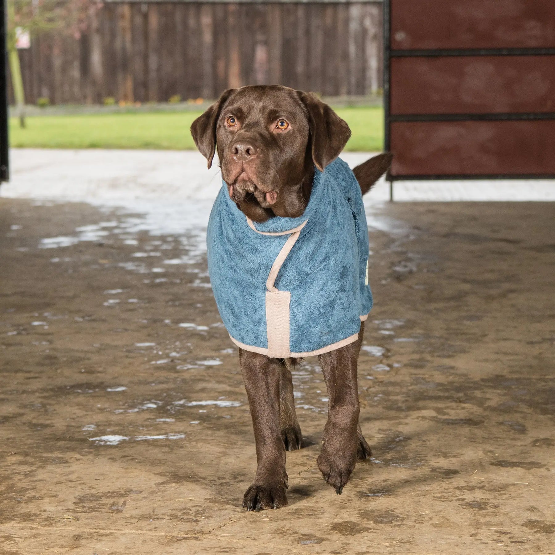 Classic Dog Drying Coat - Sandringham Blue - Ruff and Tumble