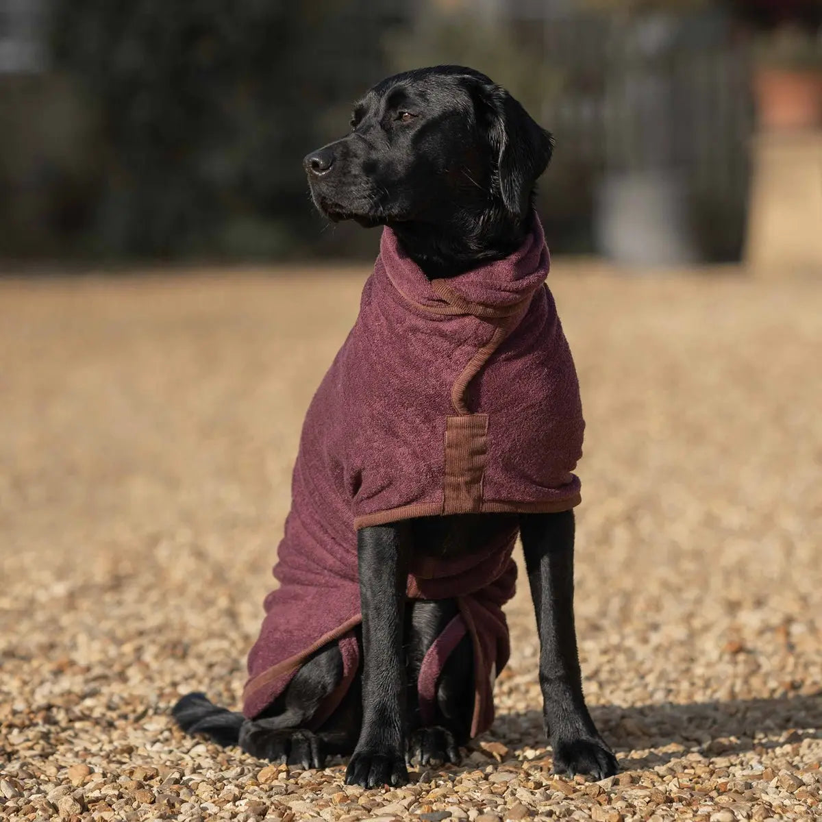 Country Dog Drying Coat - Burgundy - Ruff and Tumble