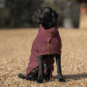 Country Dog Drying Coat - Burgundy - Ruff and Tumble