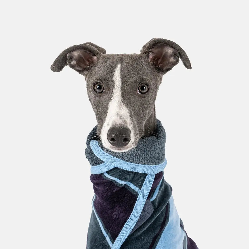 Design Collection Drying Coat - Harbour - Ruff and Tumble