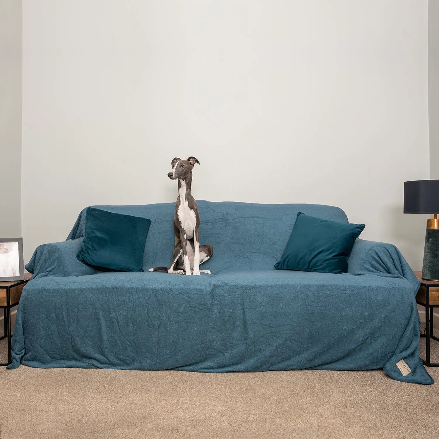 Sofa Throw - Teal - Ruff and Tumble