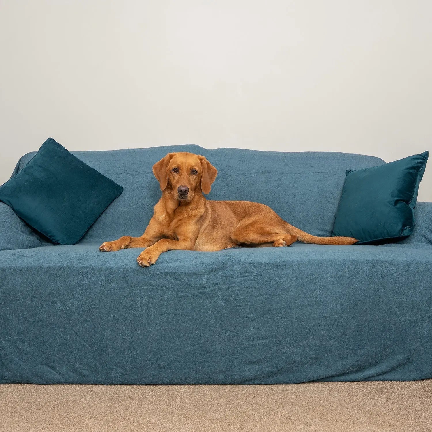 Sofa Throw - Teal - Ruff and Tumble