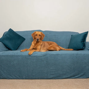 Sofa Throw - Teal - Ruff and Tumble